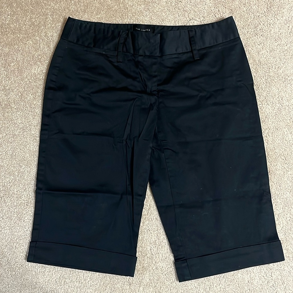 The Limited Bermuda Shorts Size 4